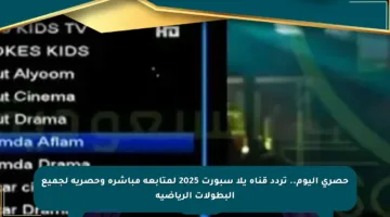 حصري اليوم.. تردد قناة يلا سبورت 2025 لمتابعة مباشرة وحصرية لجميع البطولات الرياضية
